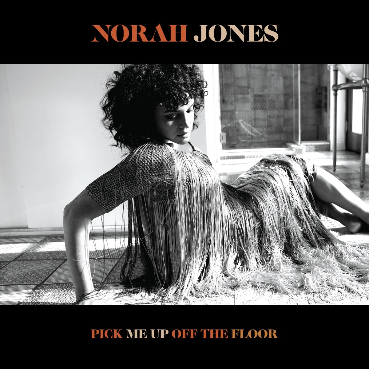 Pick Me Up Off the Floor by Norah Jones album cover