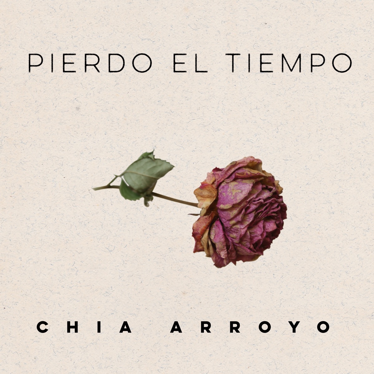 Pierdo el Tiempo - Single by Chia Arroyo album cover