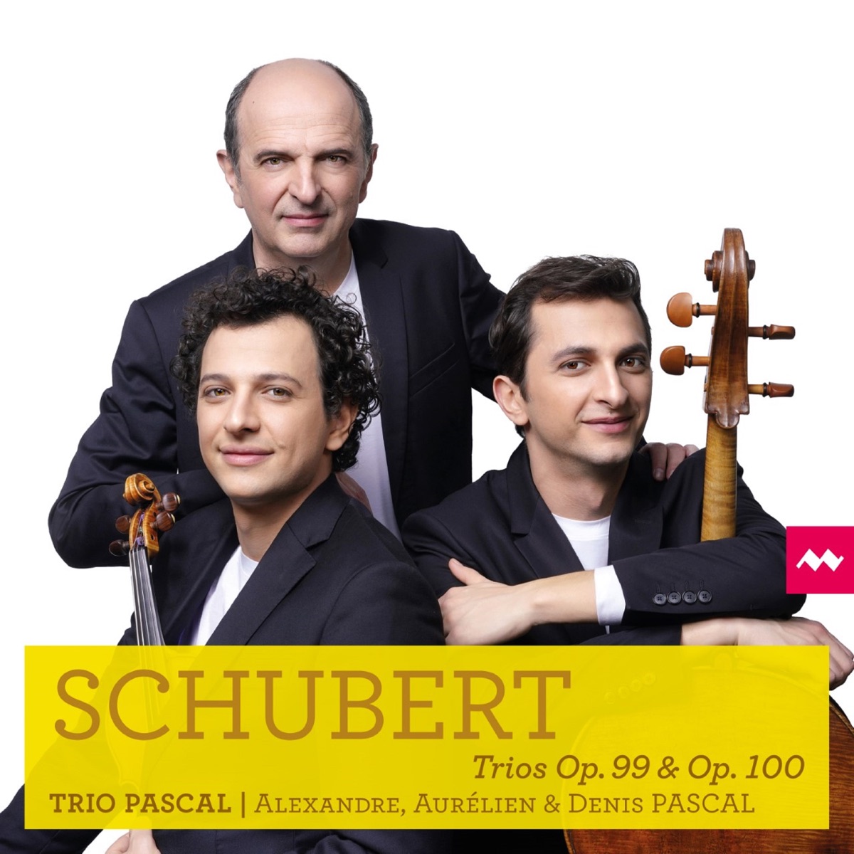 Schubert: Trios Op. 99 & Op. 100 by Denis Pascal, Aurélien Pascal & Alexandre Pascal album cover