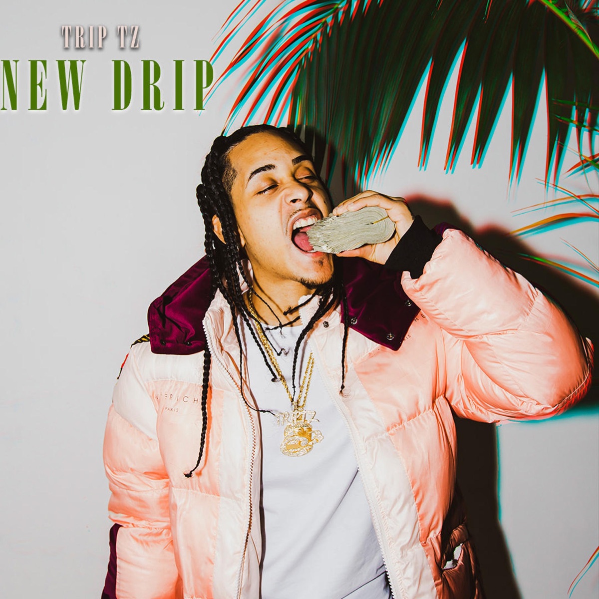 New Drip - Single by Trip Tz album cover
