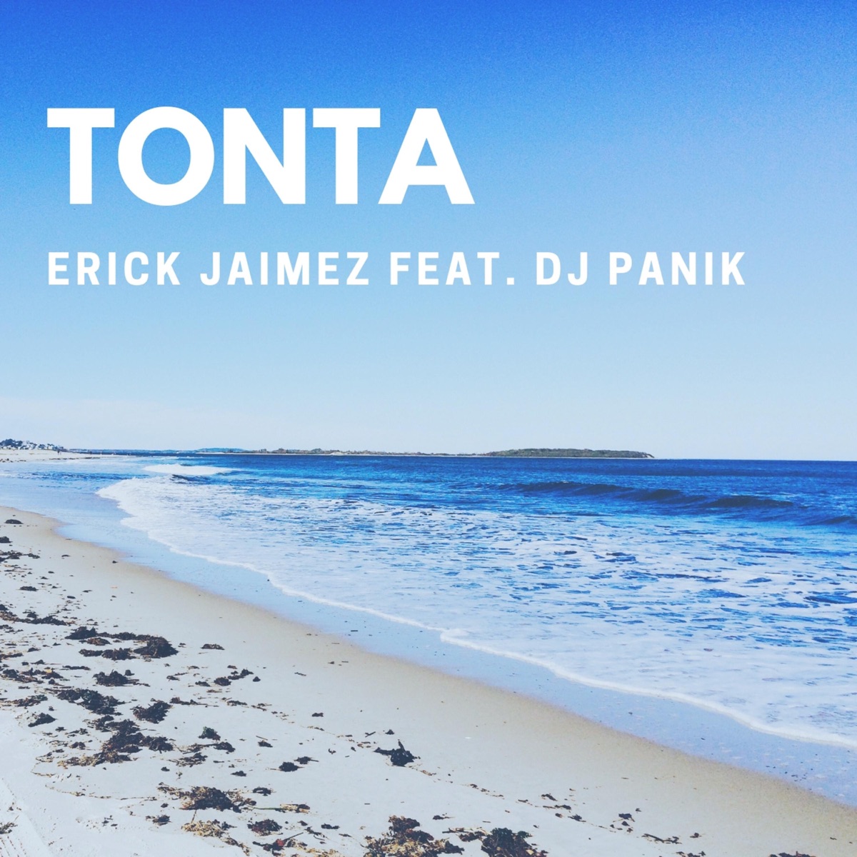 Tonta (feat. DJ Panik) - Single by Erick Jaimez album cover
