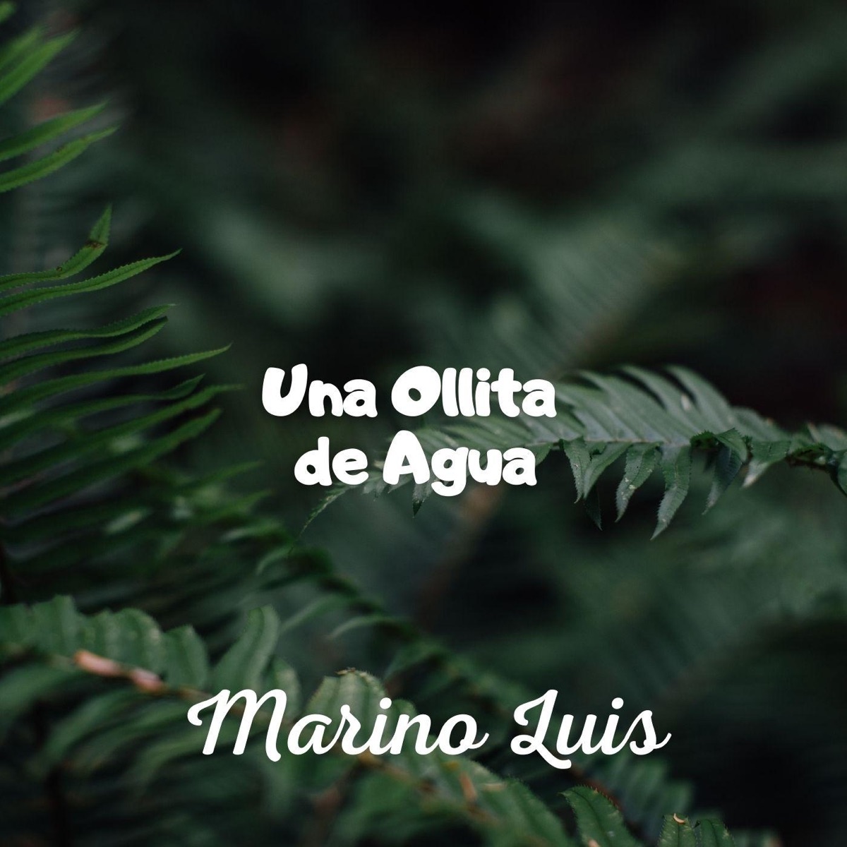 Una Ollita de Agua - Single by Marino Luis album cover
