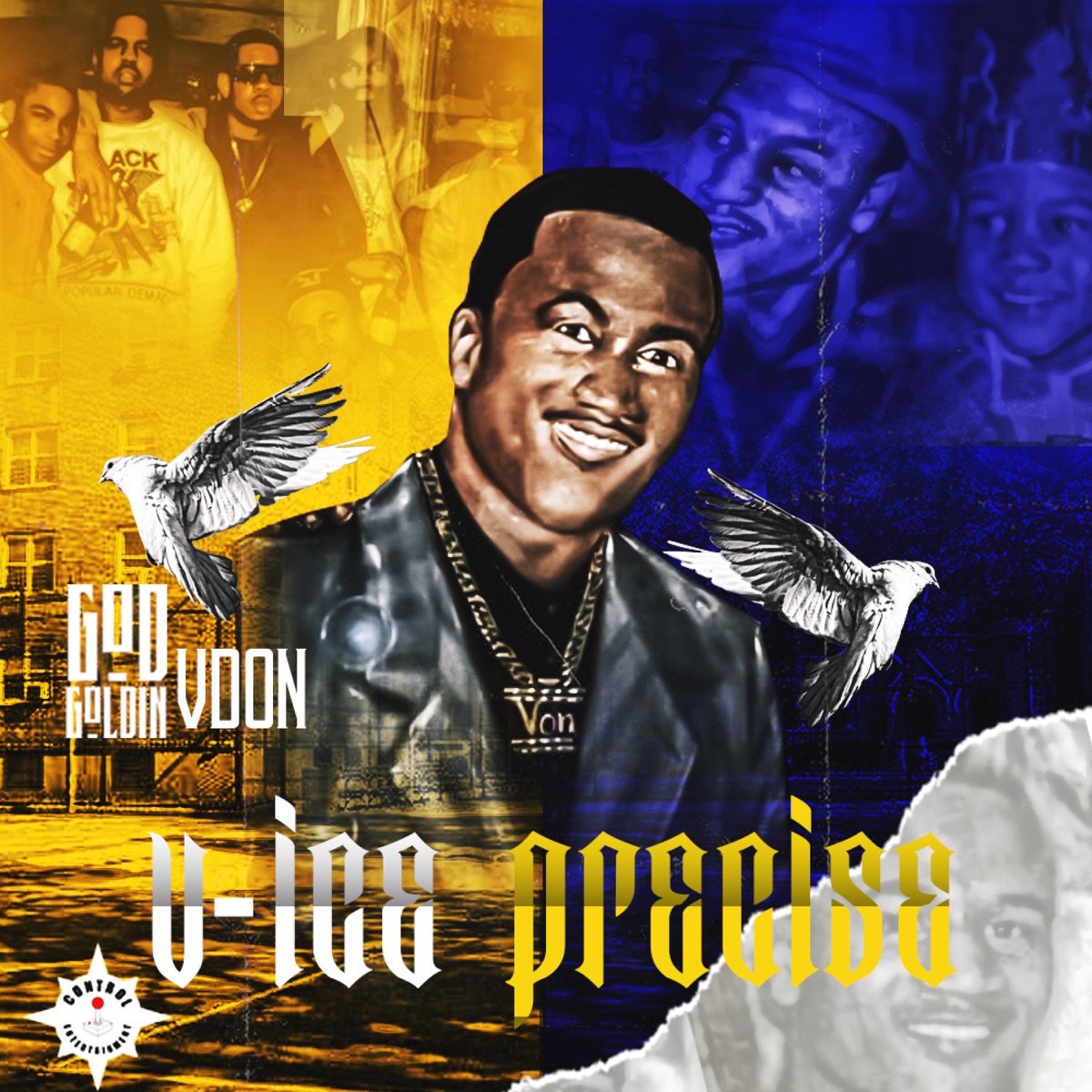 V-ICE Precise - Single by God Goldin & V Don album cover
