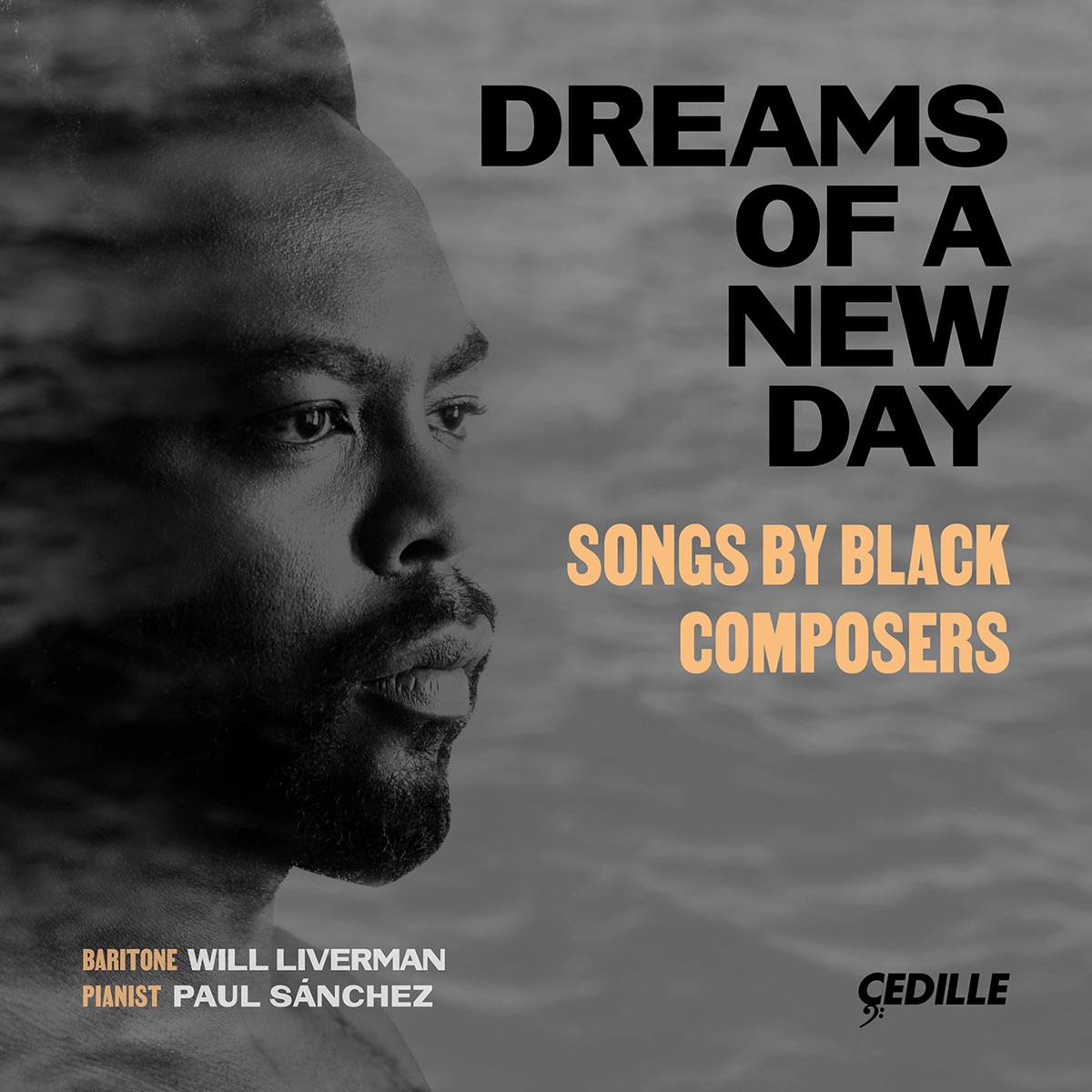 Dreams of a New Day: Songs by Black Composers by Will Liverman & Paul Sánchez album cover