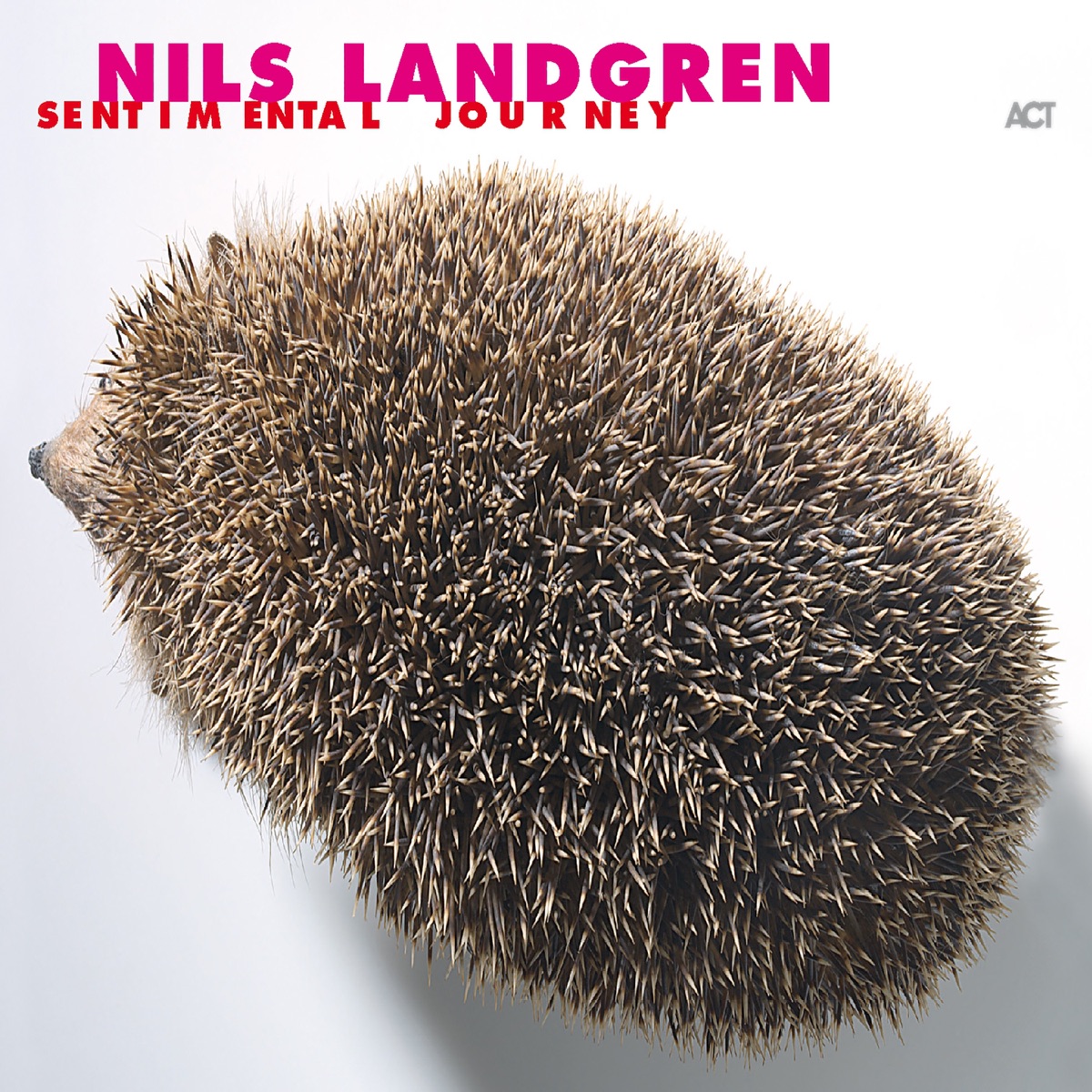 Sentimental Journey by Nils Landgren album cover