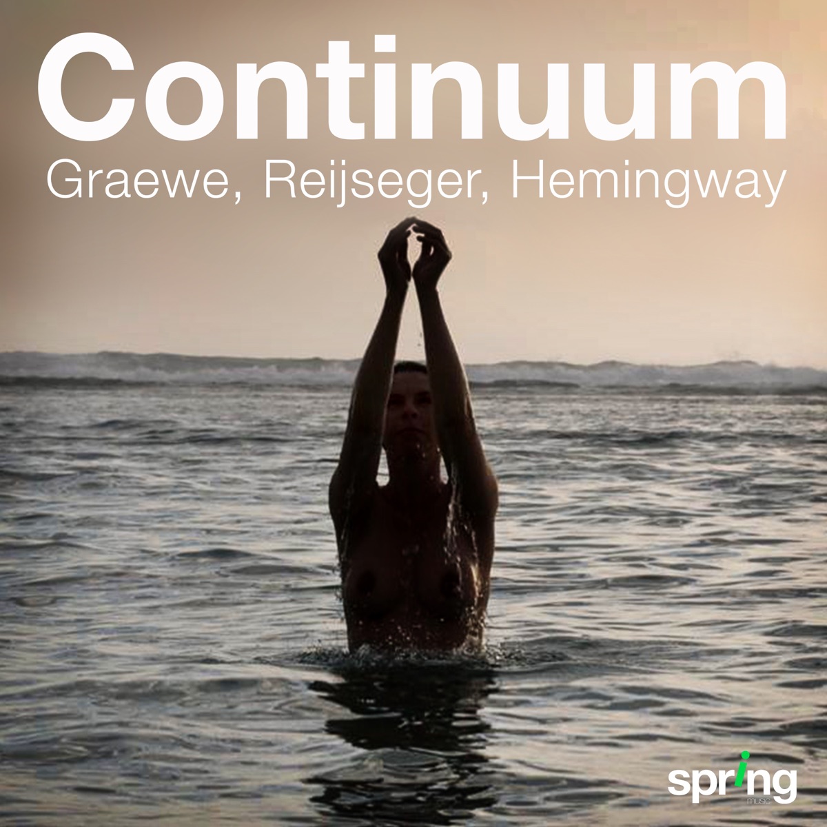 Continuum by Ernst Reijseger, Gerry Hemingway & Georg Graewe album cover