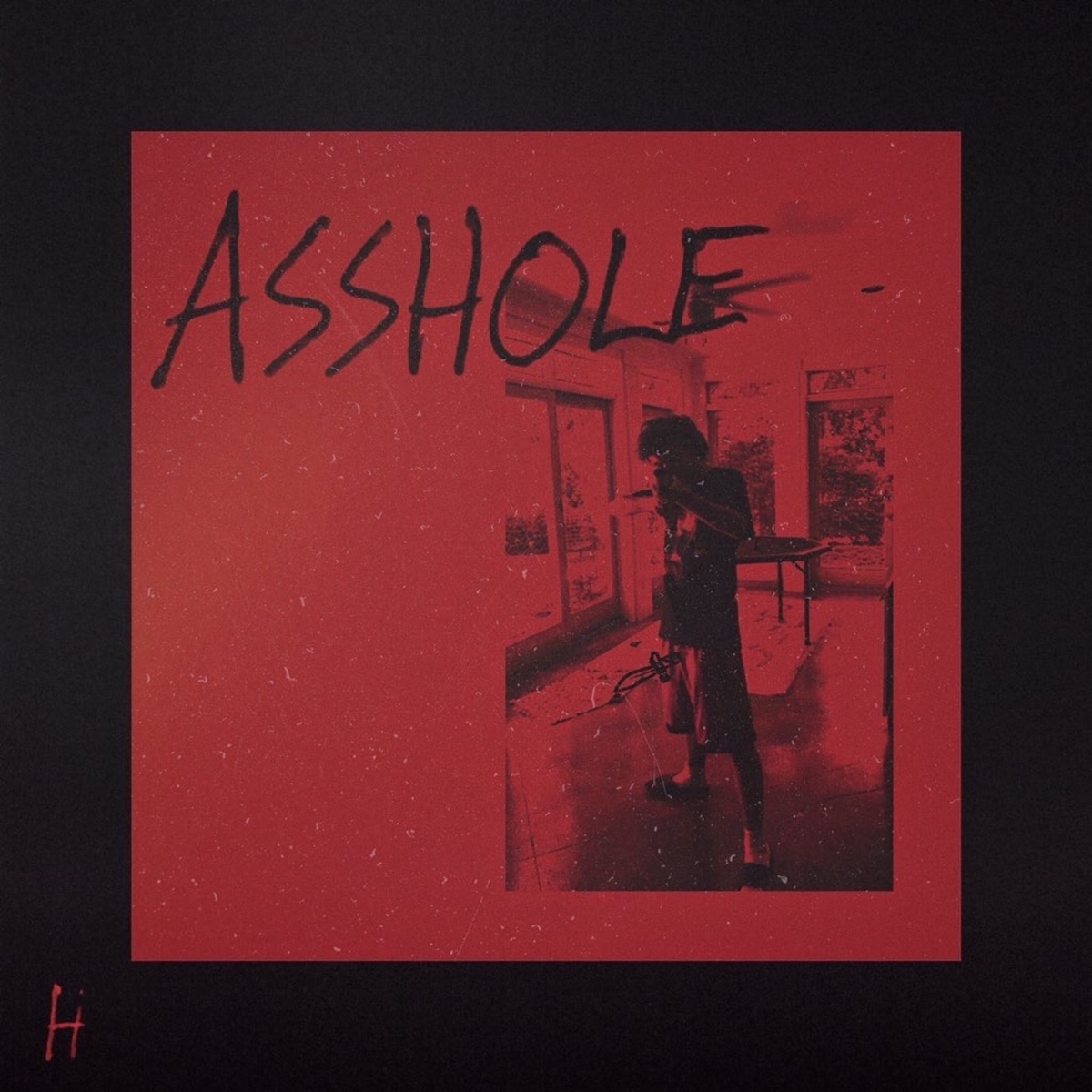 A*****e - Single by hooligan chase album cover
