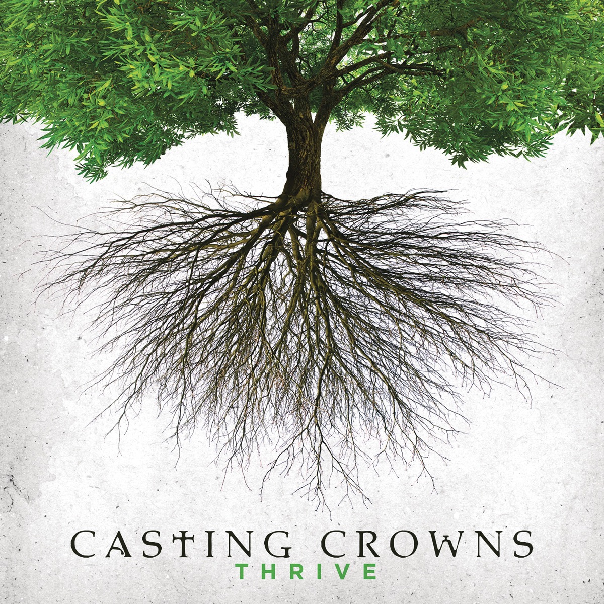 Thrive by Casting Crowns album cover