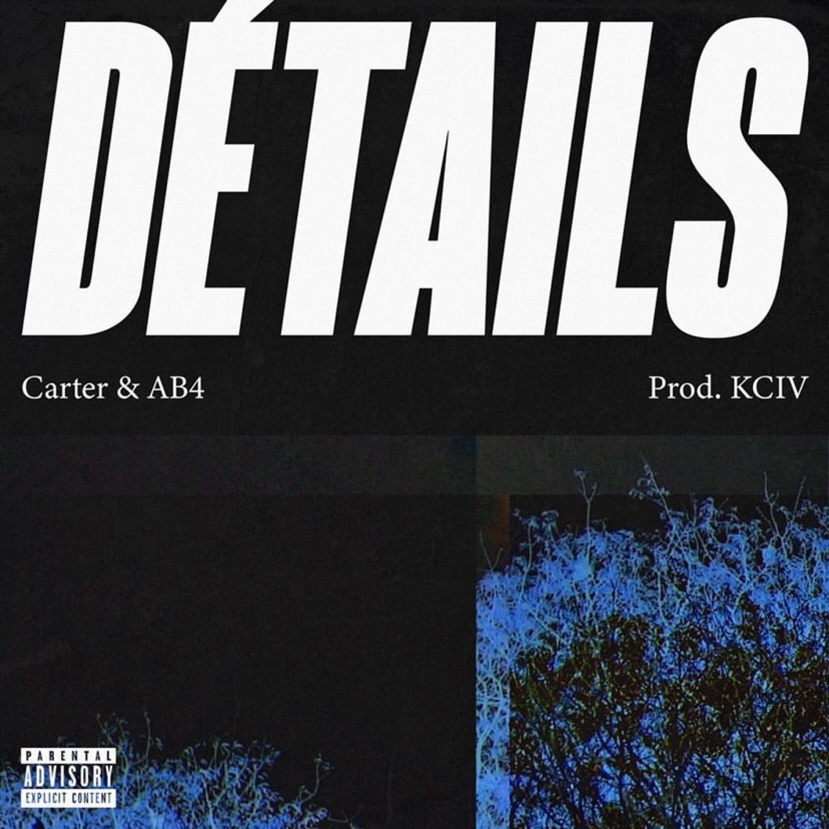 Détails - Single by CaRter & Ab4 album cover