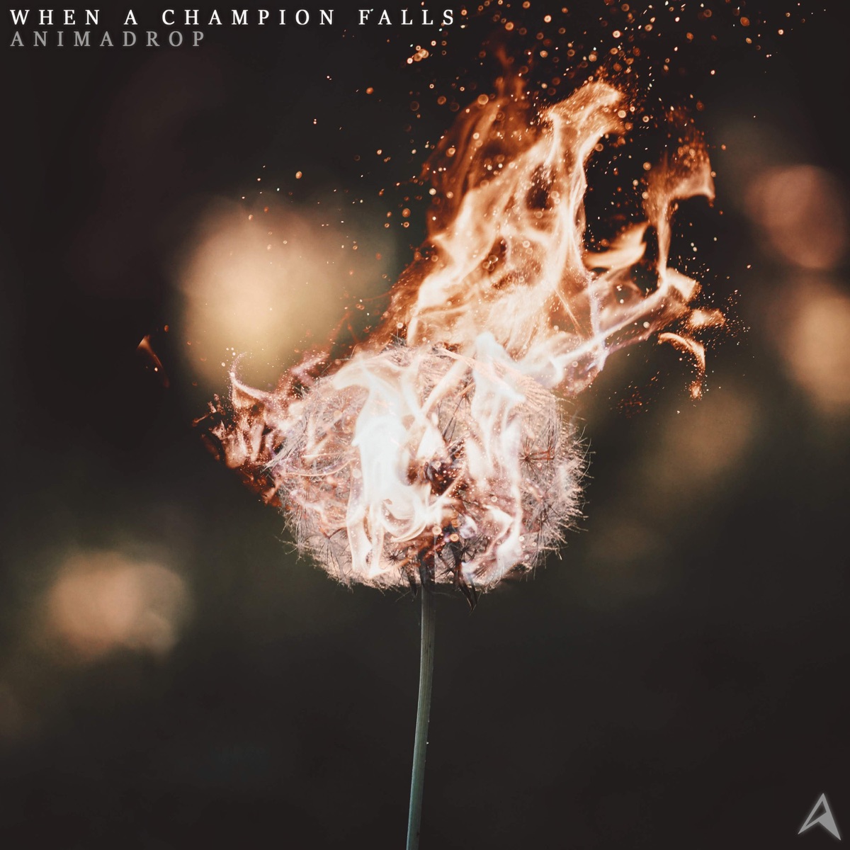 When a Champion Falls - Single by Animadrop album cover