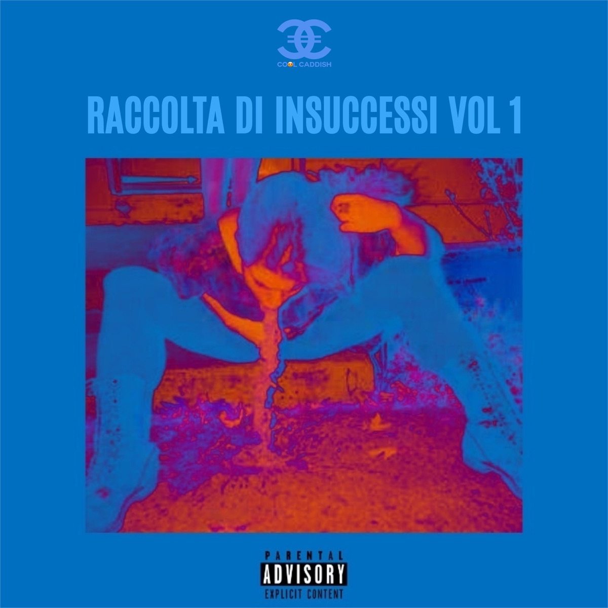 RACCOLTA DI INSUCCESSI VOL 1 - EP by Cool Caddish album cover