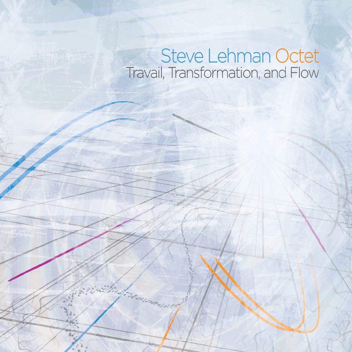 Travail, Transformation and Flow (feat. Steve Lehman, Jonathan Finlayson, Mark Shim, Tim Albright, Jose Davila, Chris Dingman, Drew Gress & Tyshawn Sorey) by Steve Lehman Octet album cover