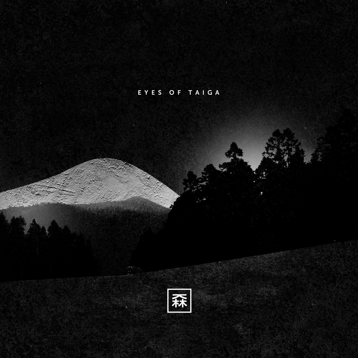 Eyes of Taiga by K. Forest album cover