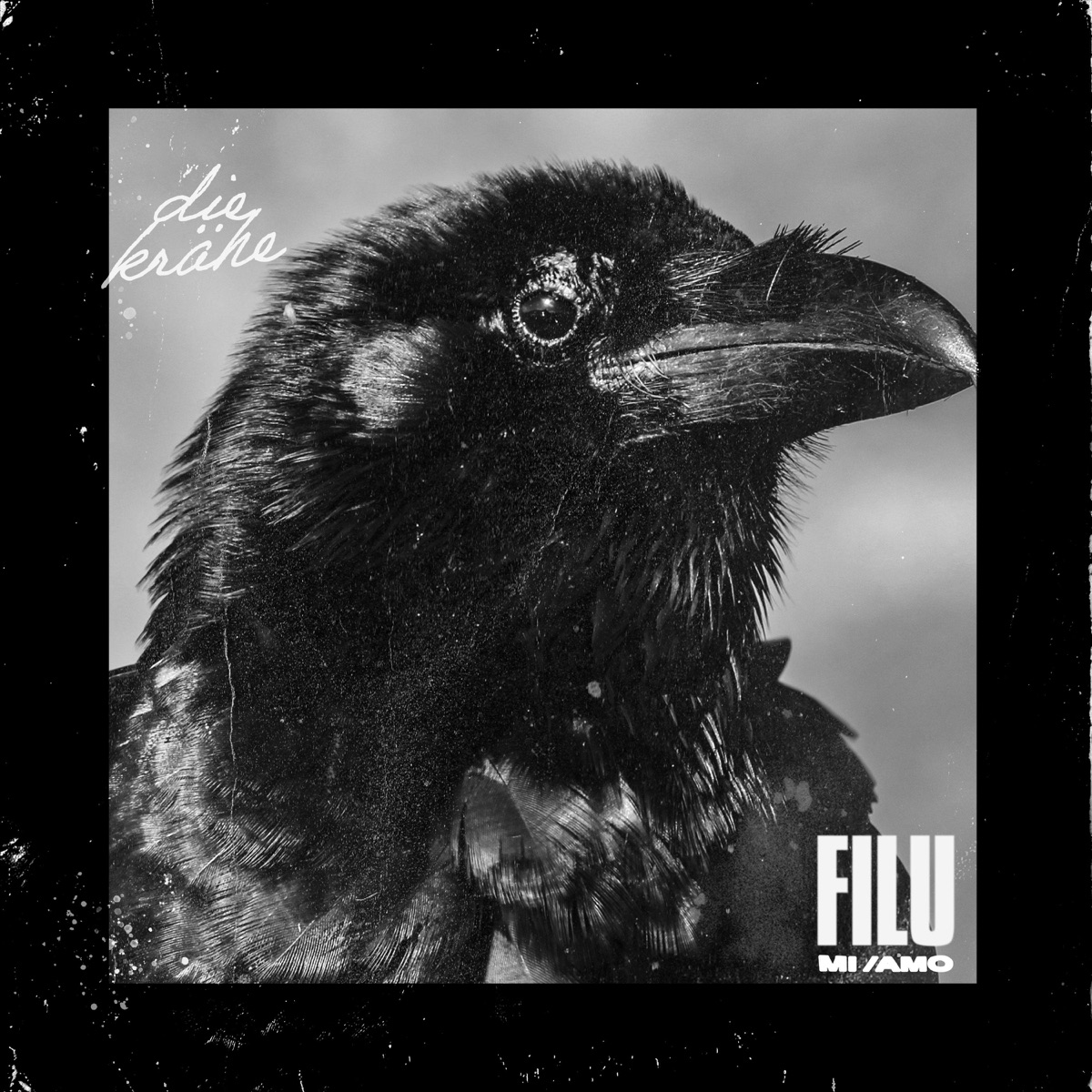 Die Krähe - Single by Filu album cover