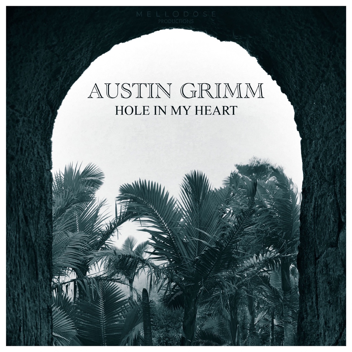 Hole in My Heart - EP by Austin Grimm & Mellodose album cover