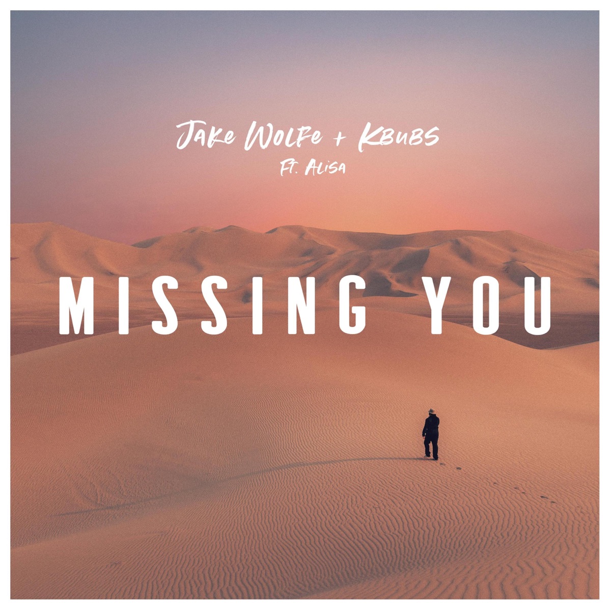 Missing You (feat. Alisa) - Single by Jake Wolfe & Kbubs album cover