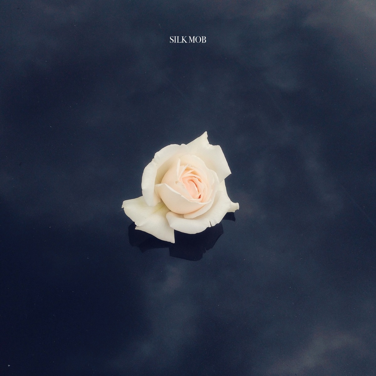 Dahin (feat. Donvtello, Fid Mella, Jamin, Lex Lugner & Opti Mane) - Single by SILK MOB album cover