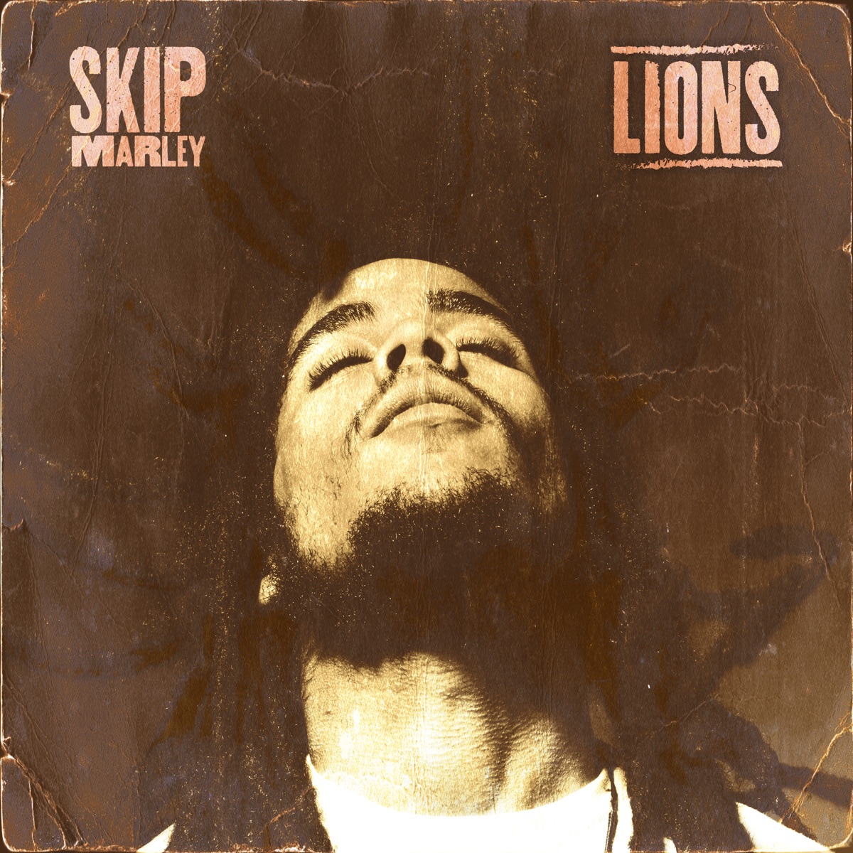 Lions - Single by Skip Marley album cover