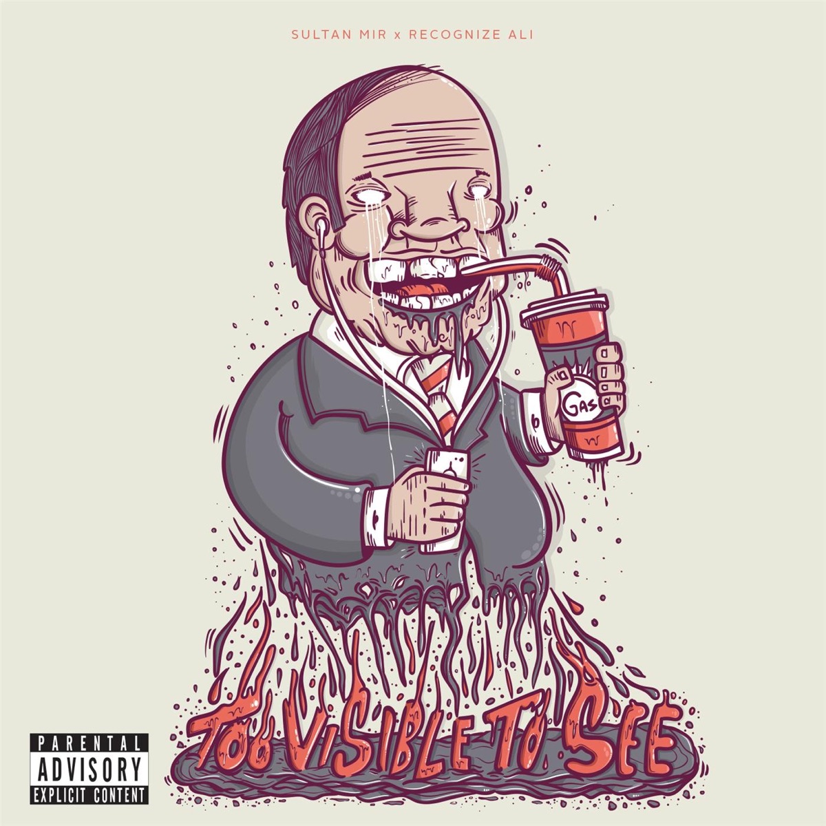 Too Visible to See by Sultan Mir & Recognize Ali album cover