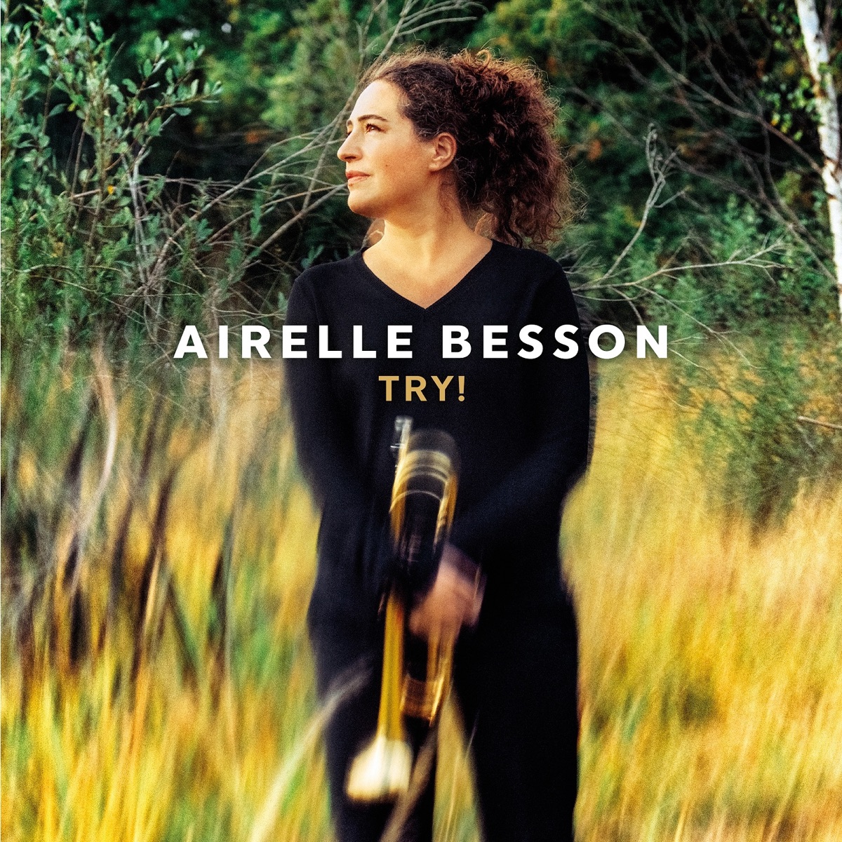 Try! by Airelle Besson album cover