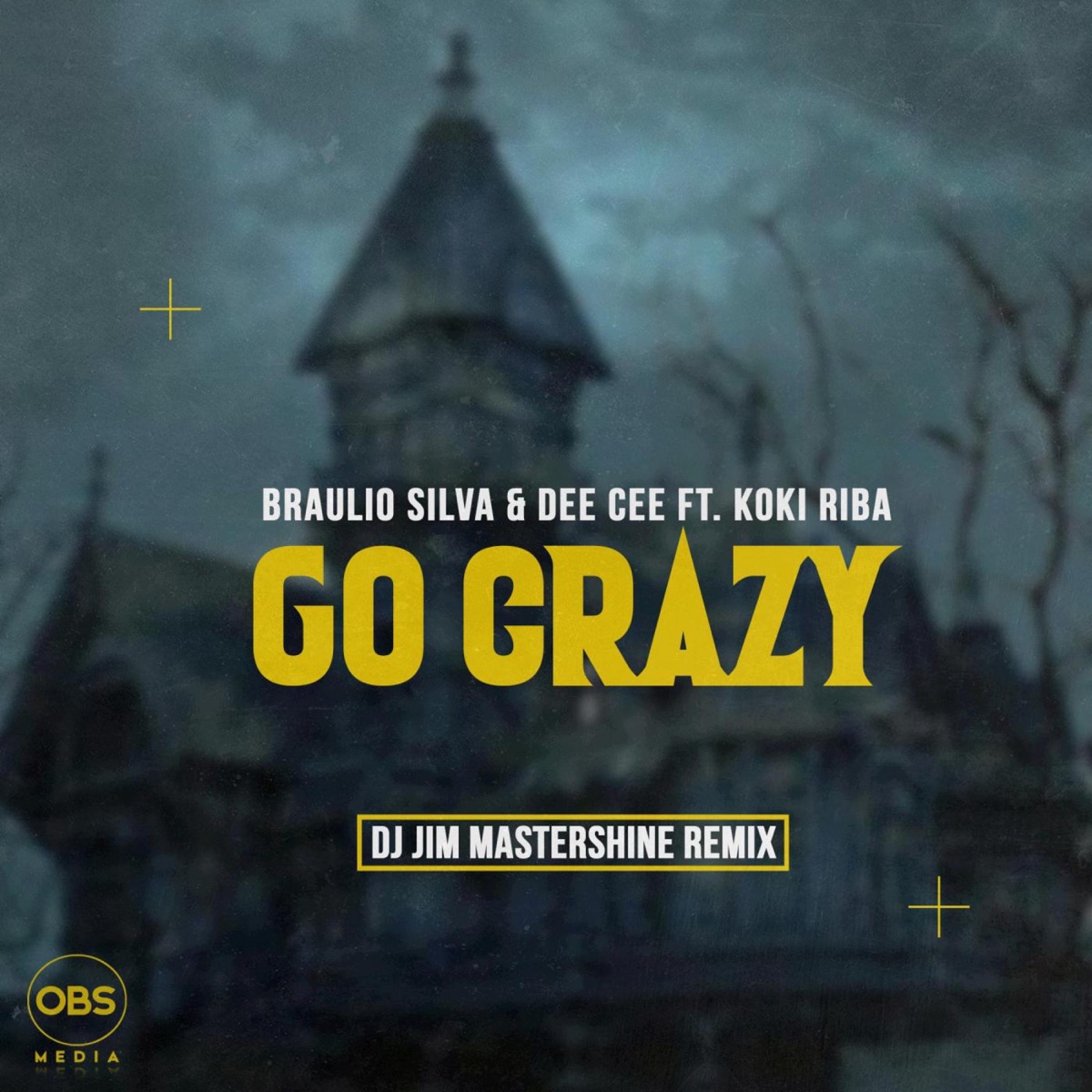 Go Crazy (Dj Jim Mastershine Remix) - Single by Braulio Silva, Dee Cee & Koki Riba album cover