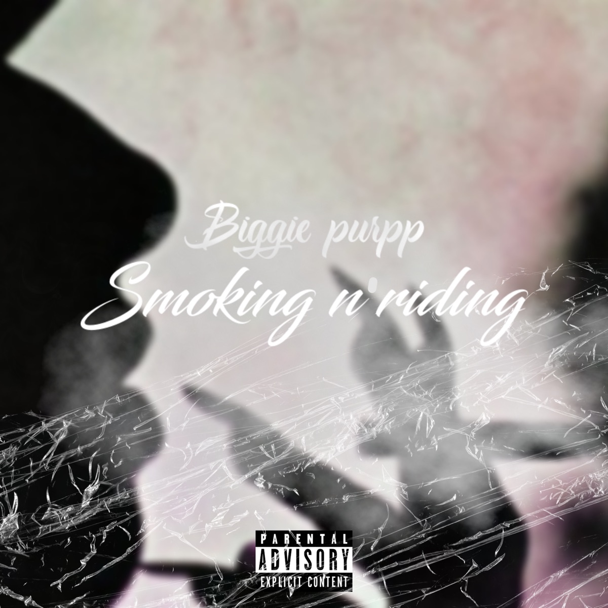 Smoking N' Riding - Single by Biggie Purpp album cover