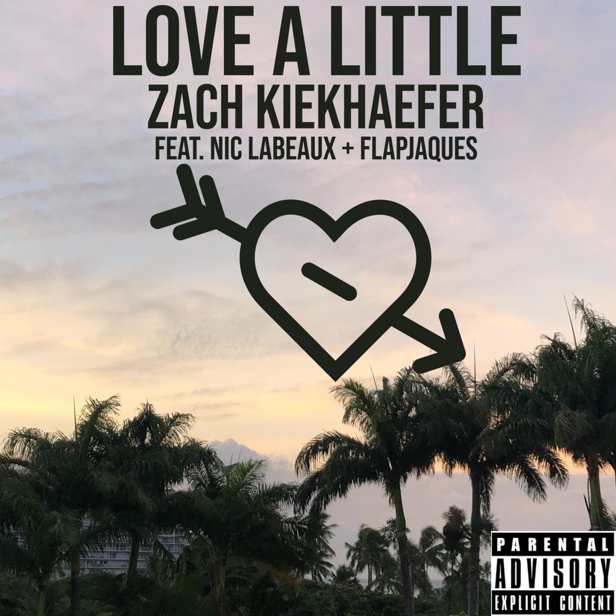 Love a Little (feat. Nic LaBeaux & Flapjaques) - Single by Zach Kiekhaefer album cover