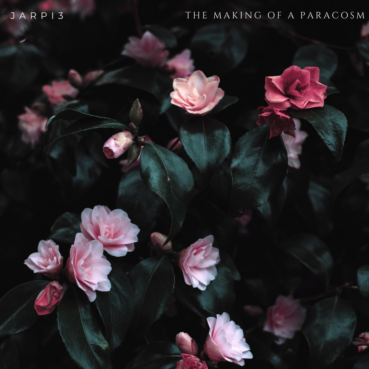 The Making of a Paracosm (Instrumental Version) - Single by JARPI3 album cover