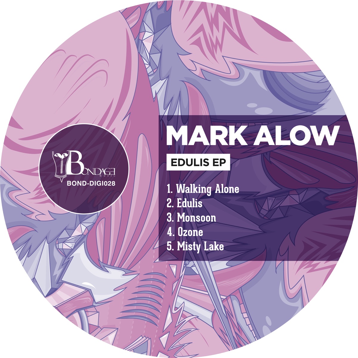 Edulis by Mark Alow album cover