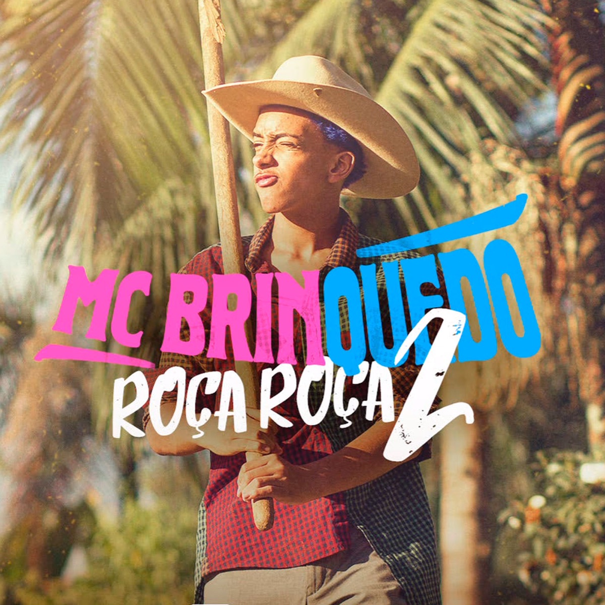 Roça Roça 2 - Single by Mc Brinquedo album cover