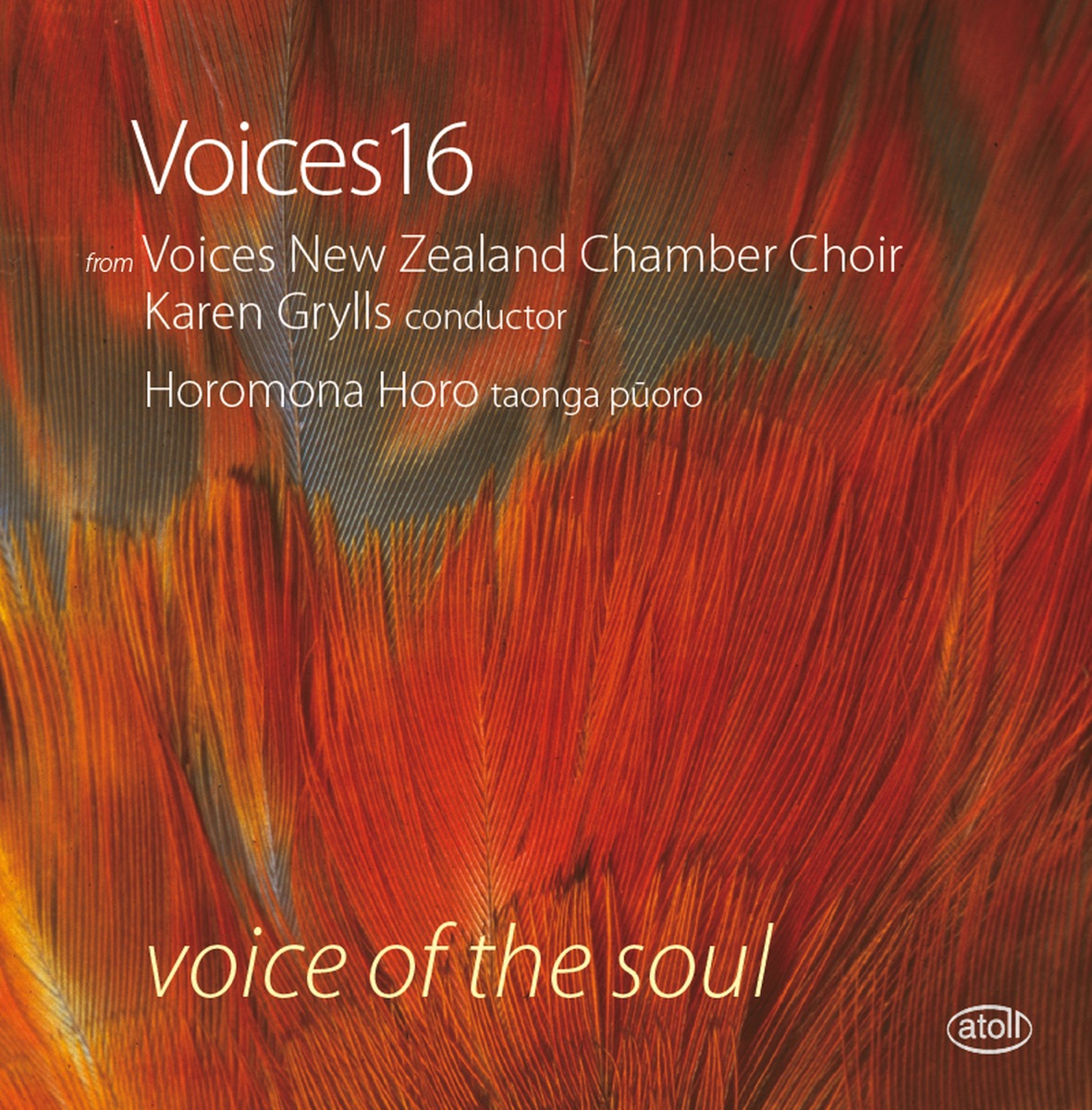 Voice of the Soul by Voices New Zealand Chamber Choir & Karen Grylls album cover
