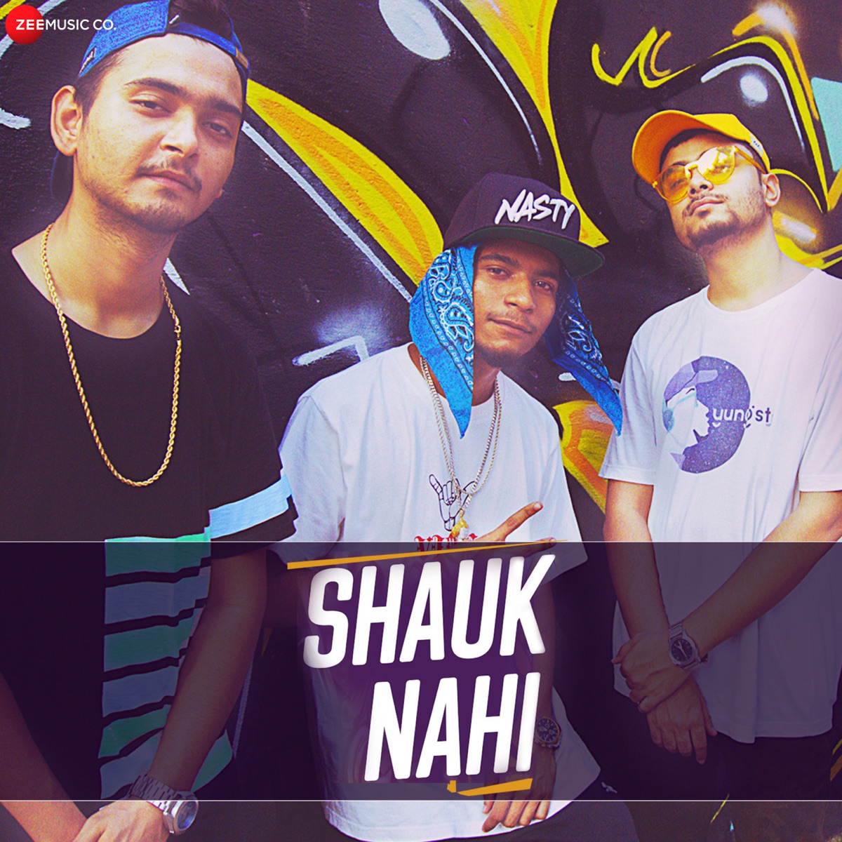 Shauk Nahi - Single by Baajewala, Full Power & MC Altaf album cover