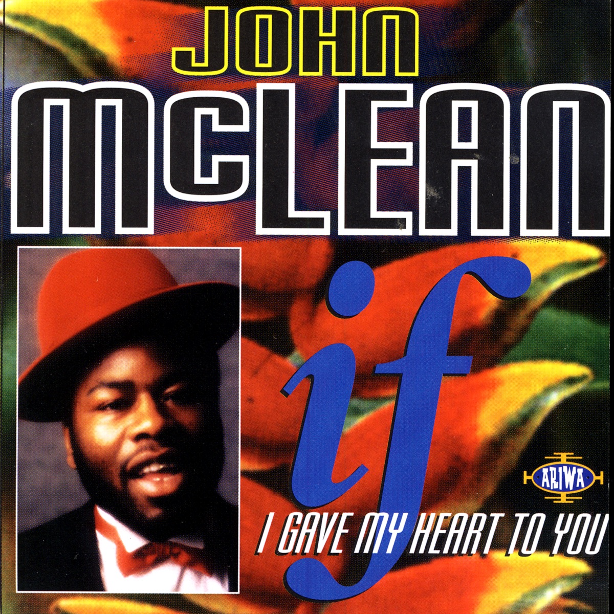 If I Gave My Heart to You by John McLean album cover