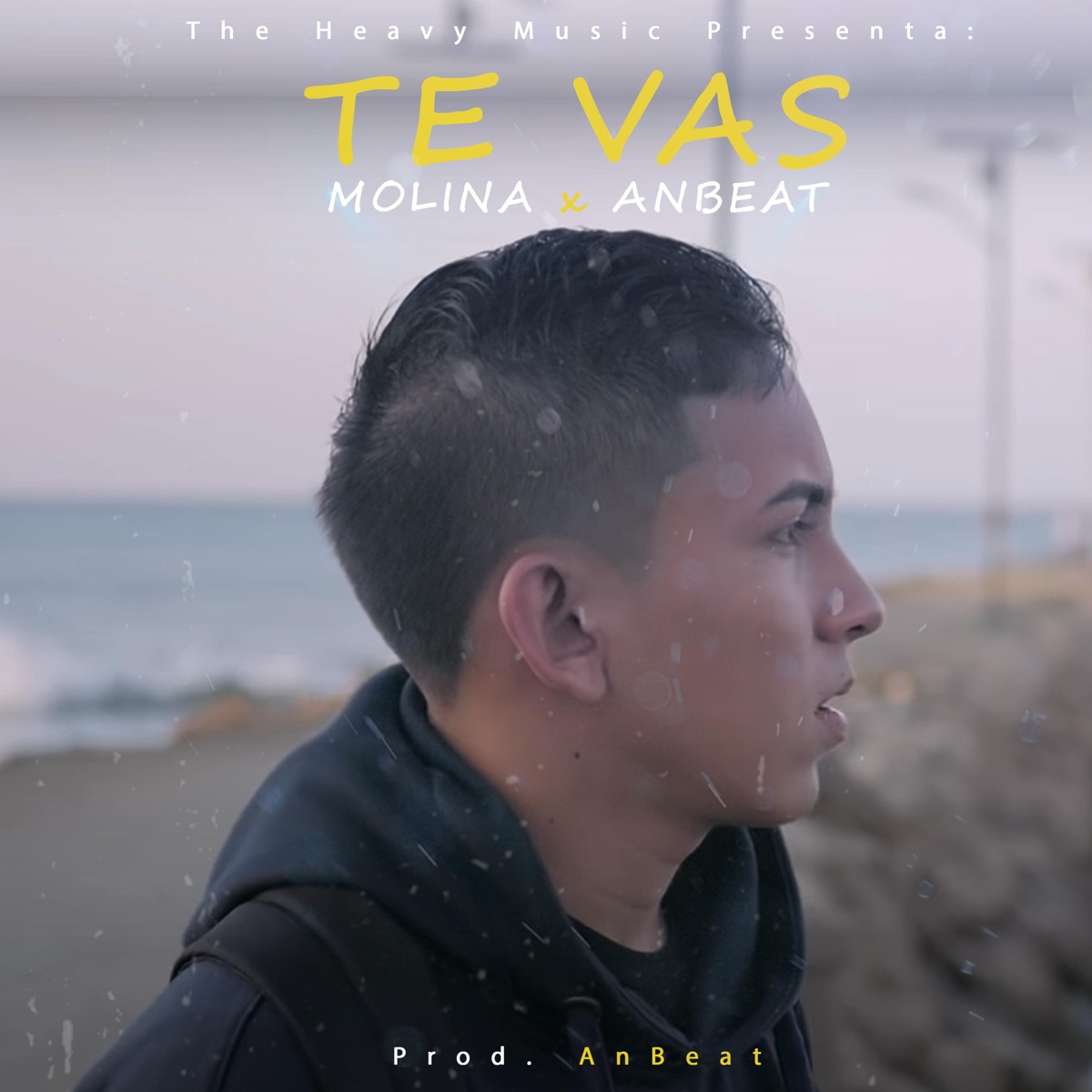 Te vas (feat. Anbeat) - Single by Molina album cover