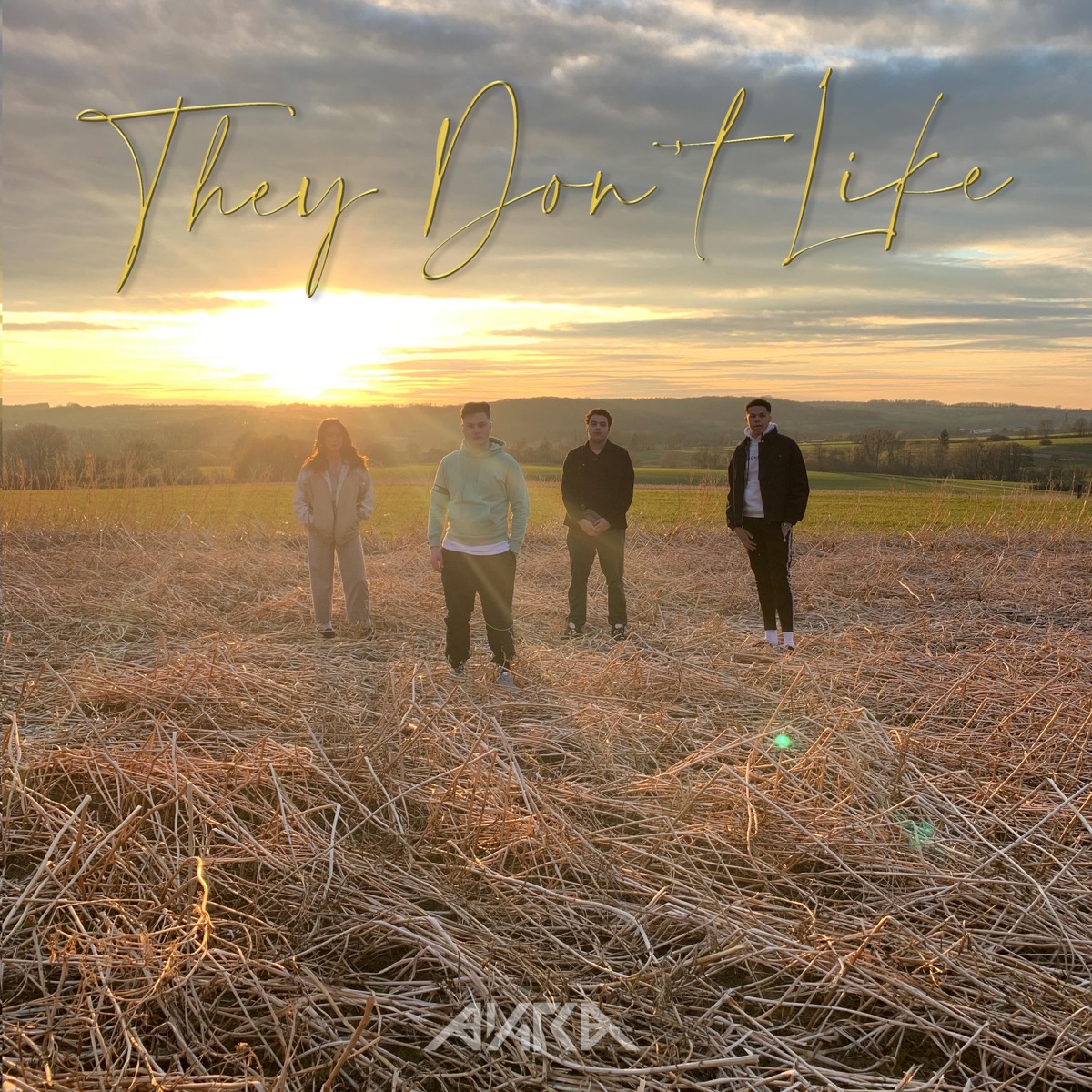 They Don't Like (feat. Tommy & Luka Bloom) - Single by Akra & Sy album cover