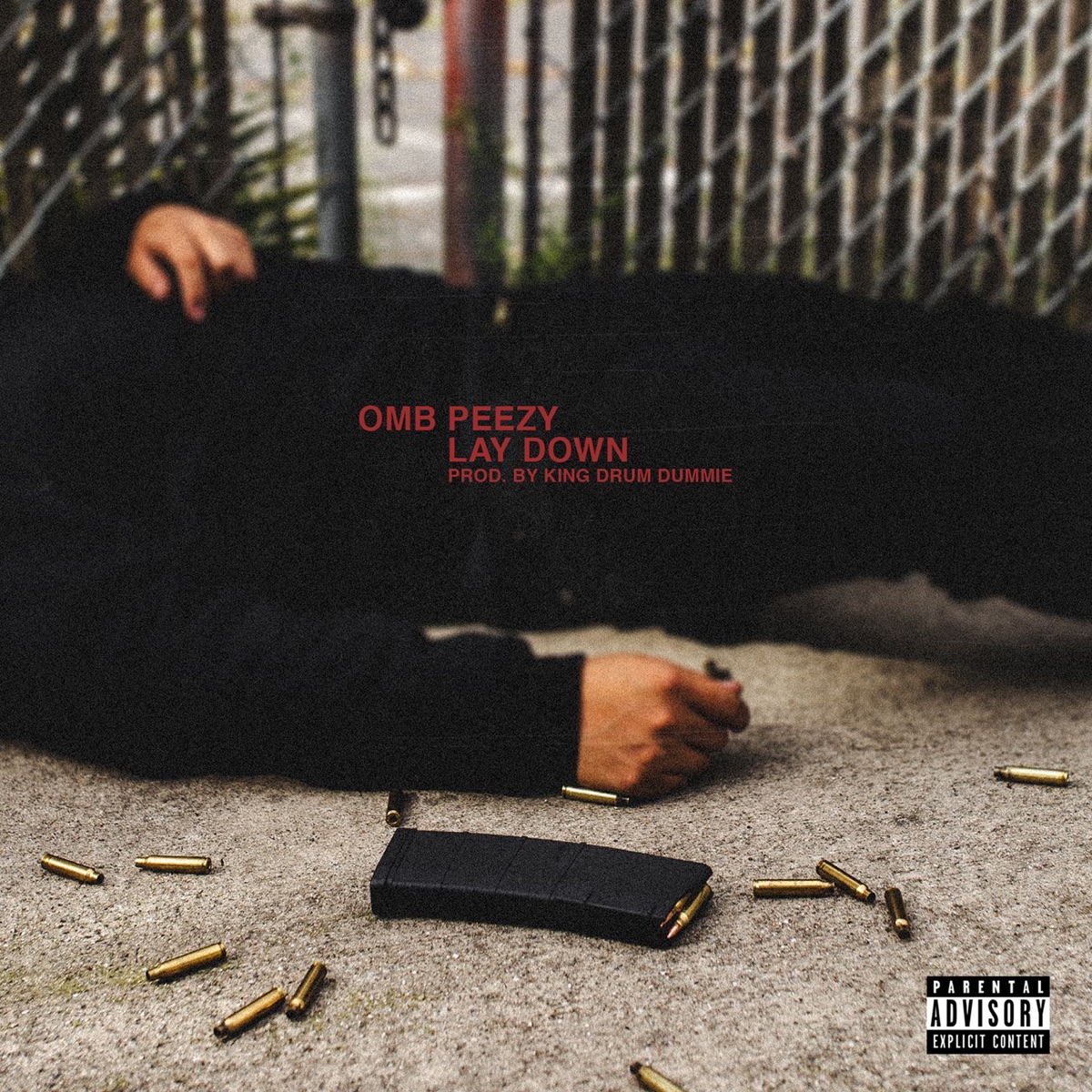 Lay Down - Single by OMB Peezy album cover