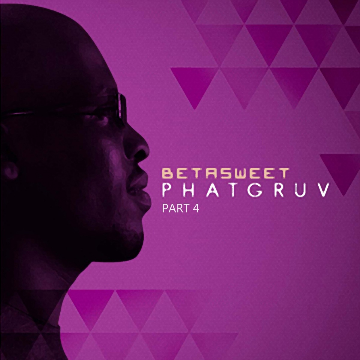 Phatgruv, Pt. 4 by Betasweet, SoulPoizen & DJ Stax album cover