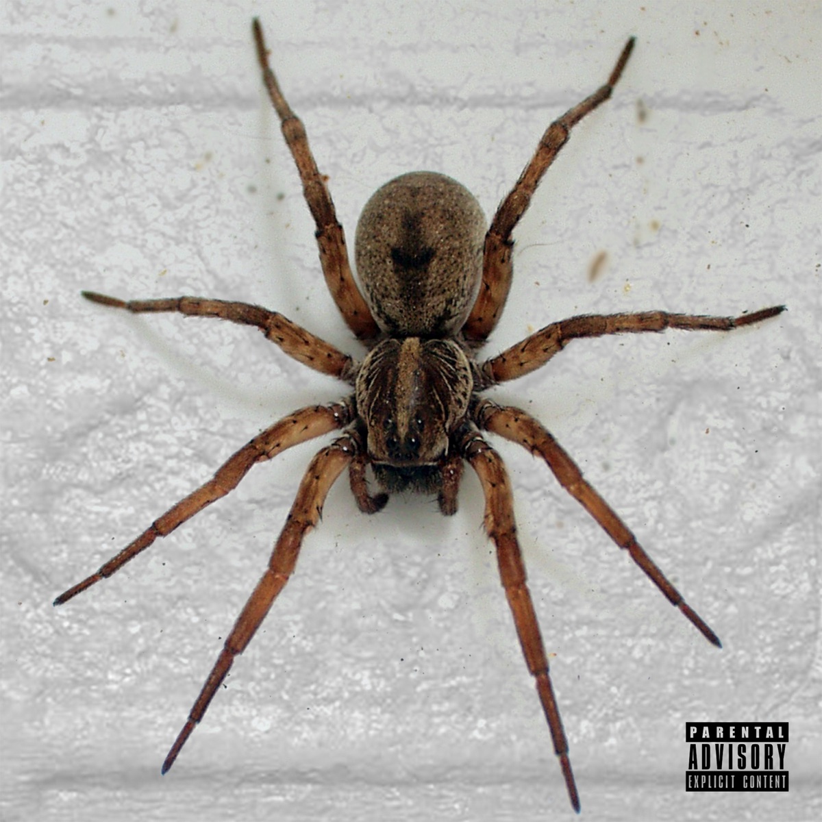 Still Active by Mad Clip, Strat & BeTaf Beats album cover