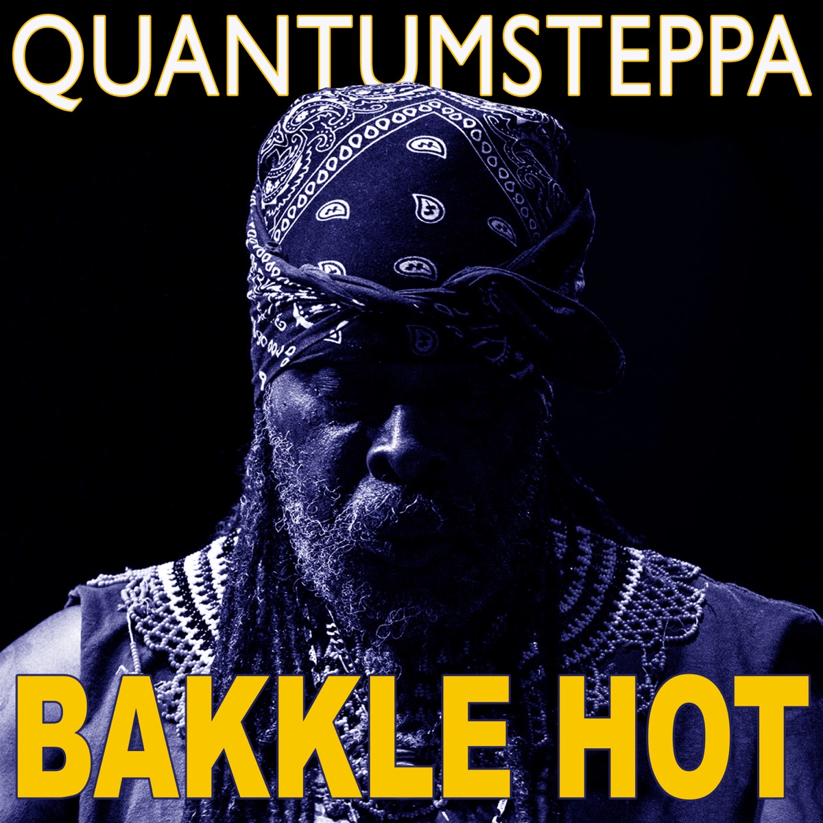 Quantumsteppa - EP by David Harrow & Ghetto Priest album cover