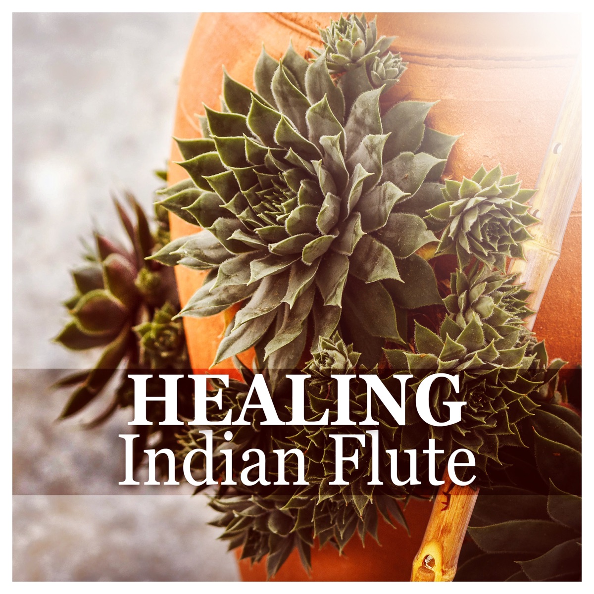 Healing Indian Flute: Nature Sounds, New Age Music and Classical Flute Melodies for Massage, Yoga, Zen, Spa, Relaxation, Study, Reiki, Leisure, Sleep by Relaxing Flute Music Zone album cover