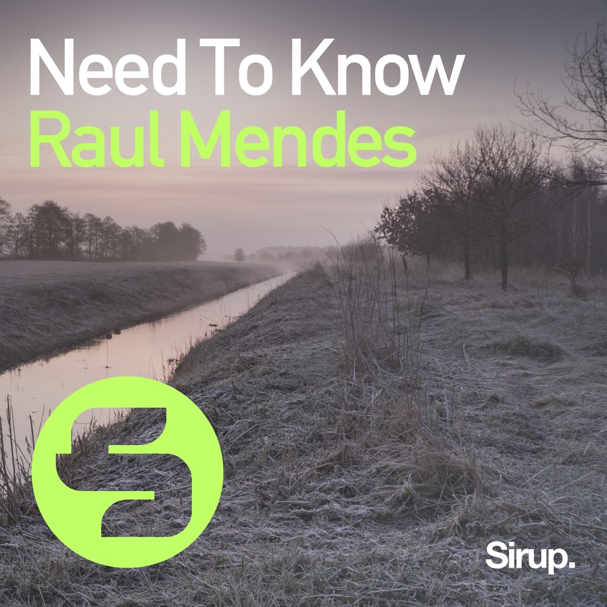 Need to Know - Single by Raul Mendes album cover