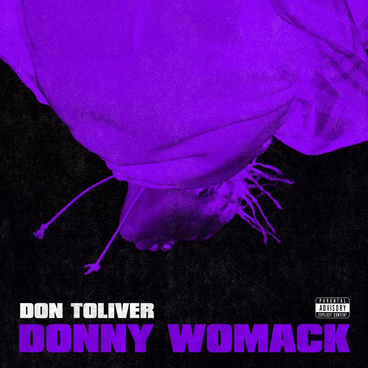Donny Womack by Don Toliver album cover
