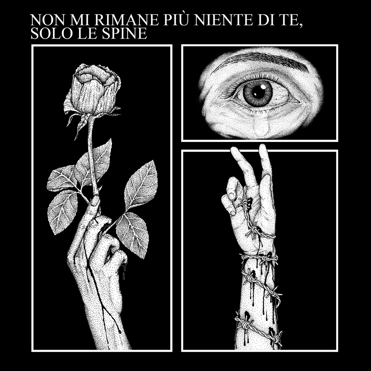 Non Mi rimane più niente di te, solo le spine (feat. TC1CREEZY) - Single by Gabber album cover