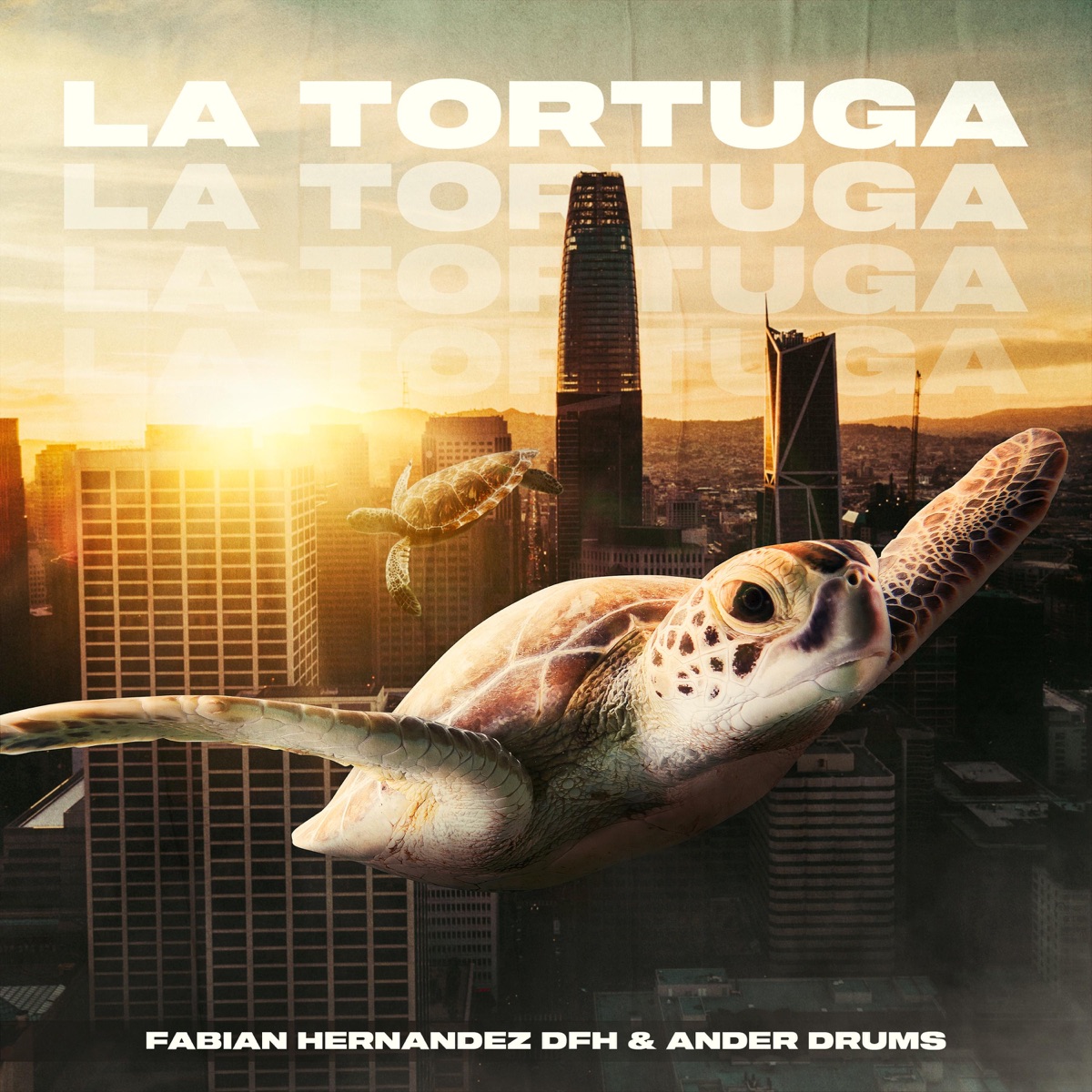 La Tortuga (Fabian Hernandez DFH, Ander Drums) - Single by Fabian Hernandez Dfh album cover