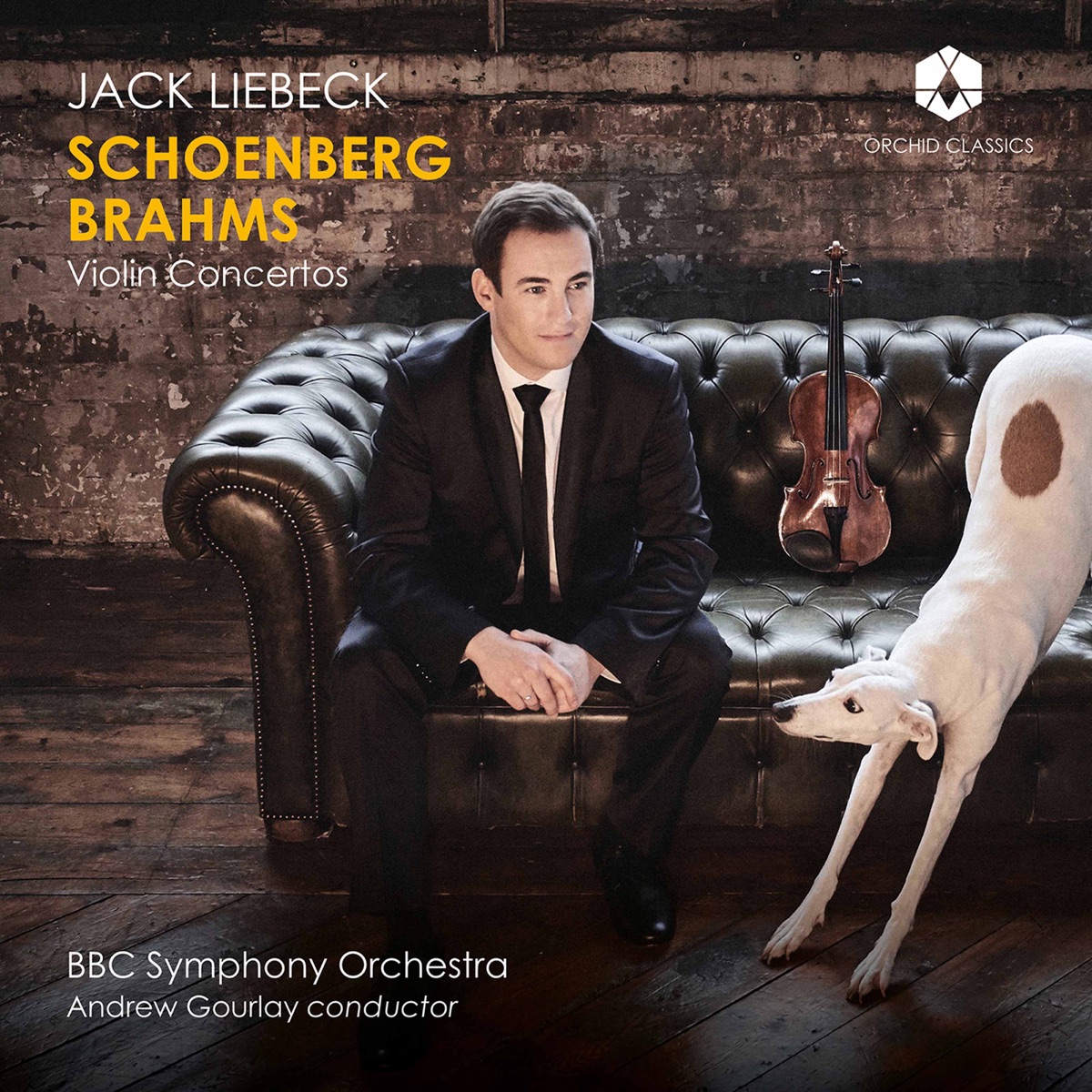 Schoenberg & Brahms: Violin Concertos by Jack Liebeck, BBC Symphony Orchestra & Andrew Gourlay album cover