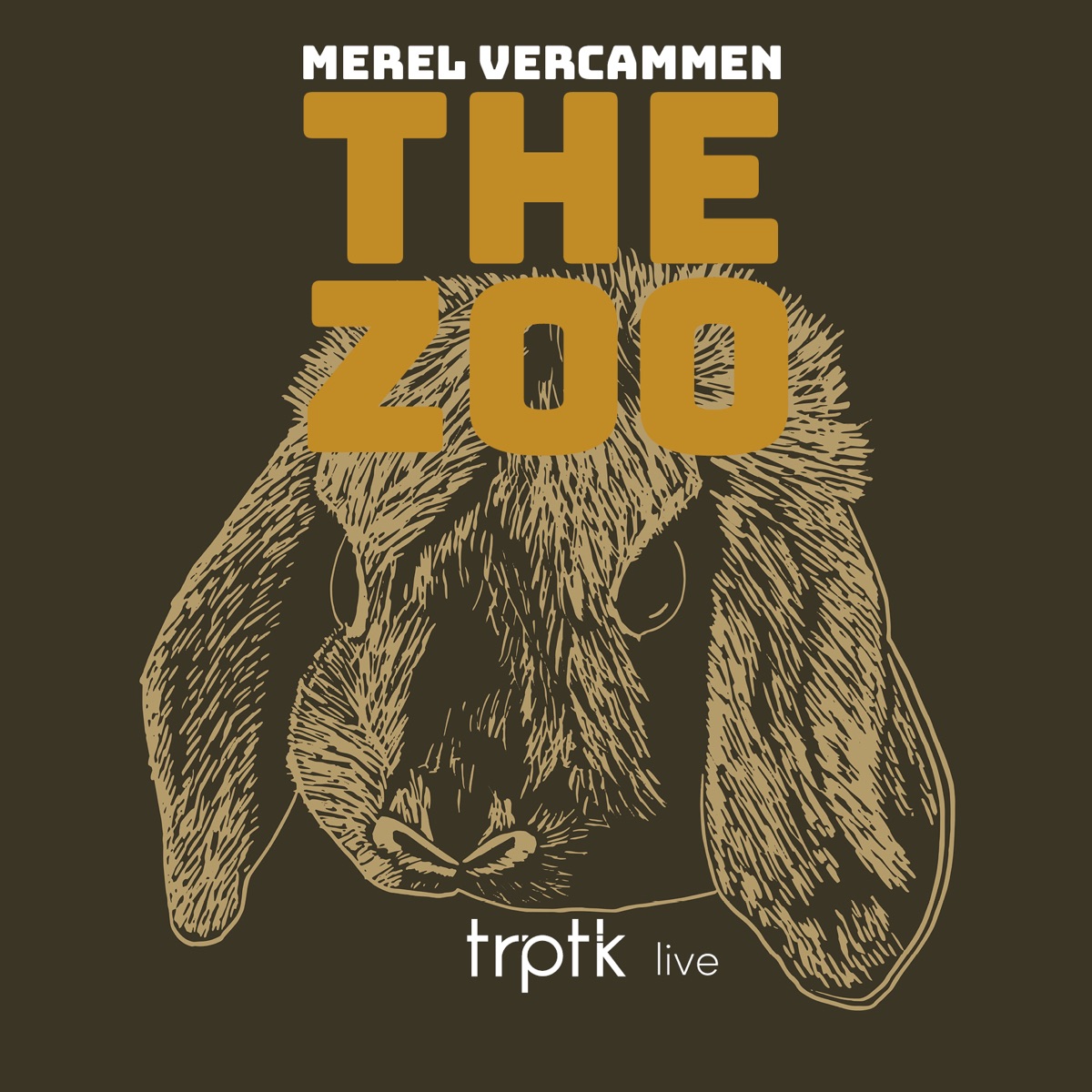 The Zoo by Merel Vercammen album cover