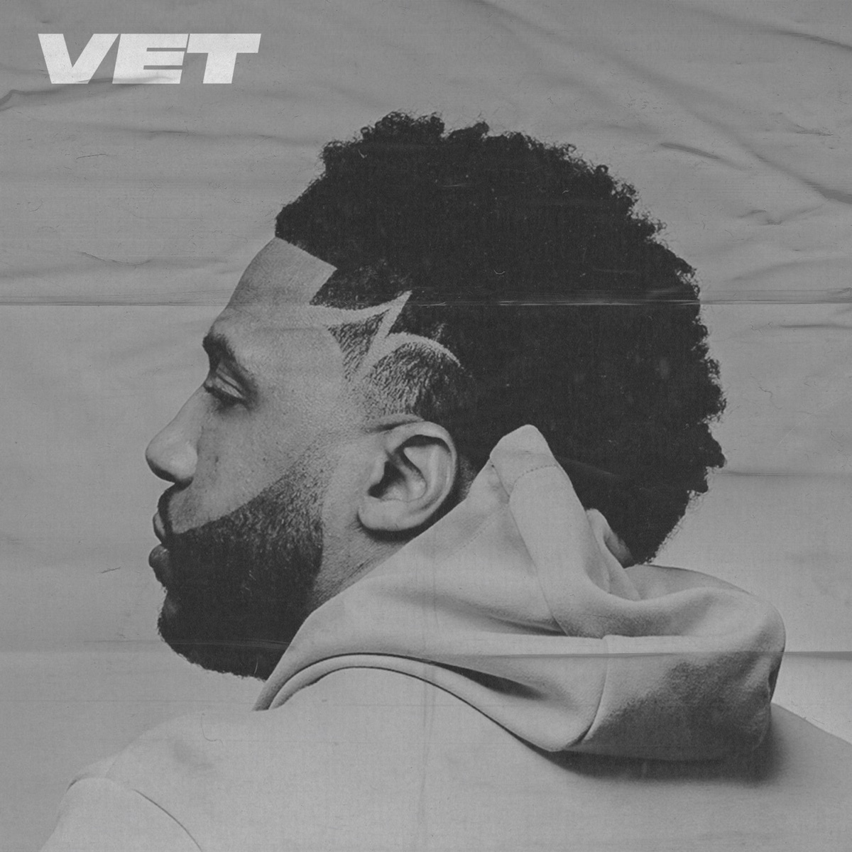Vet by Da' T.R.U.T.H. album cover