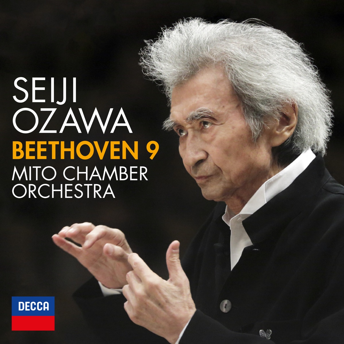 Beethoven: Symphony No. 9 by Seiji Ozawa, Rie Miyake, Mihoko Fujimura, Kei Fukui, Markus Eiche, Tokyo Opera Singers & Mito Chamber Orchestra album cover