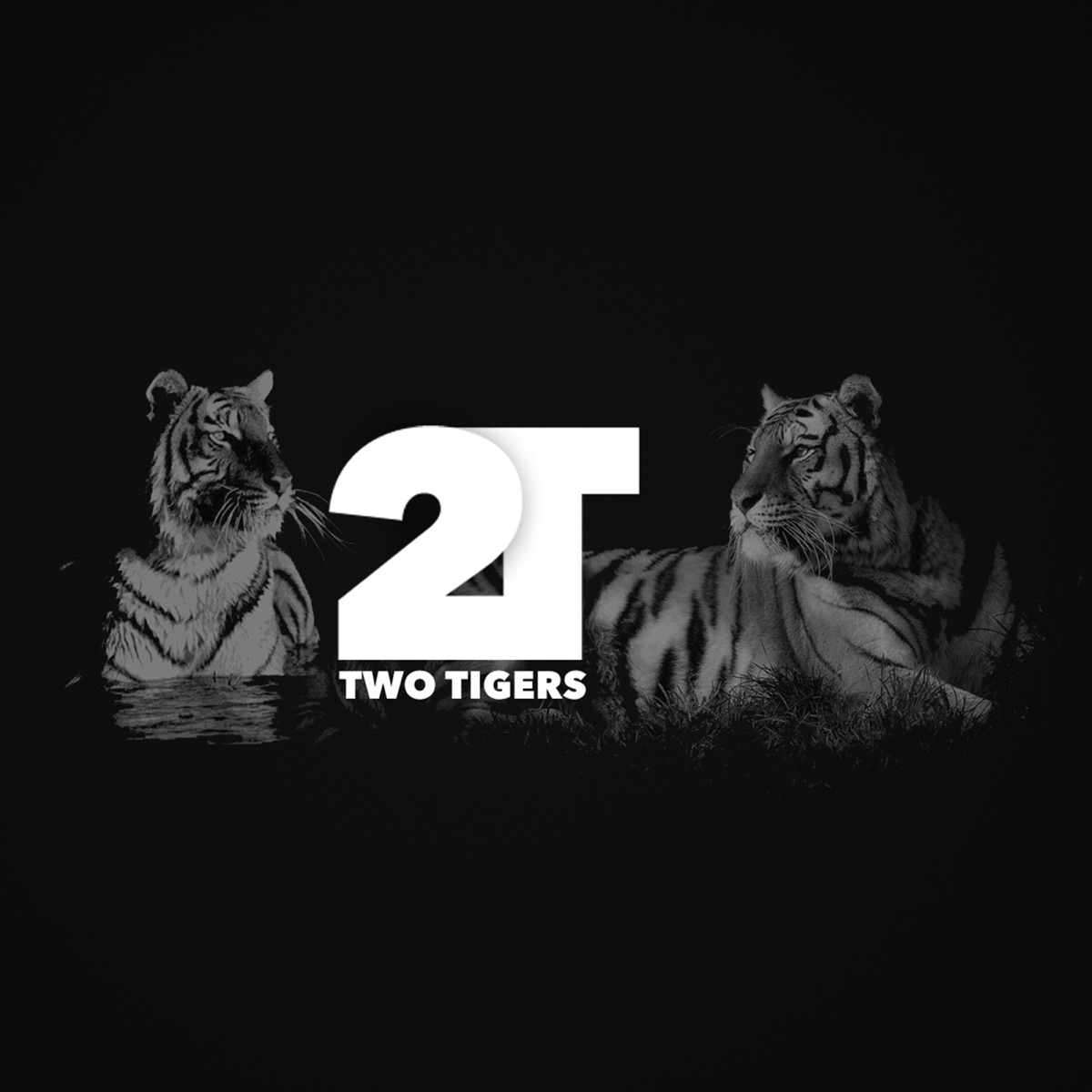 Two Tigers - Single by Misael Kahl album cover