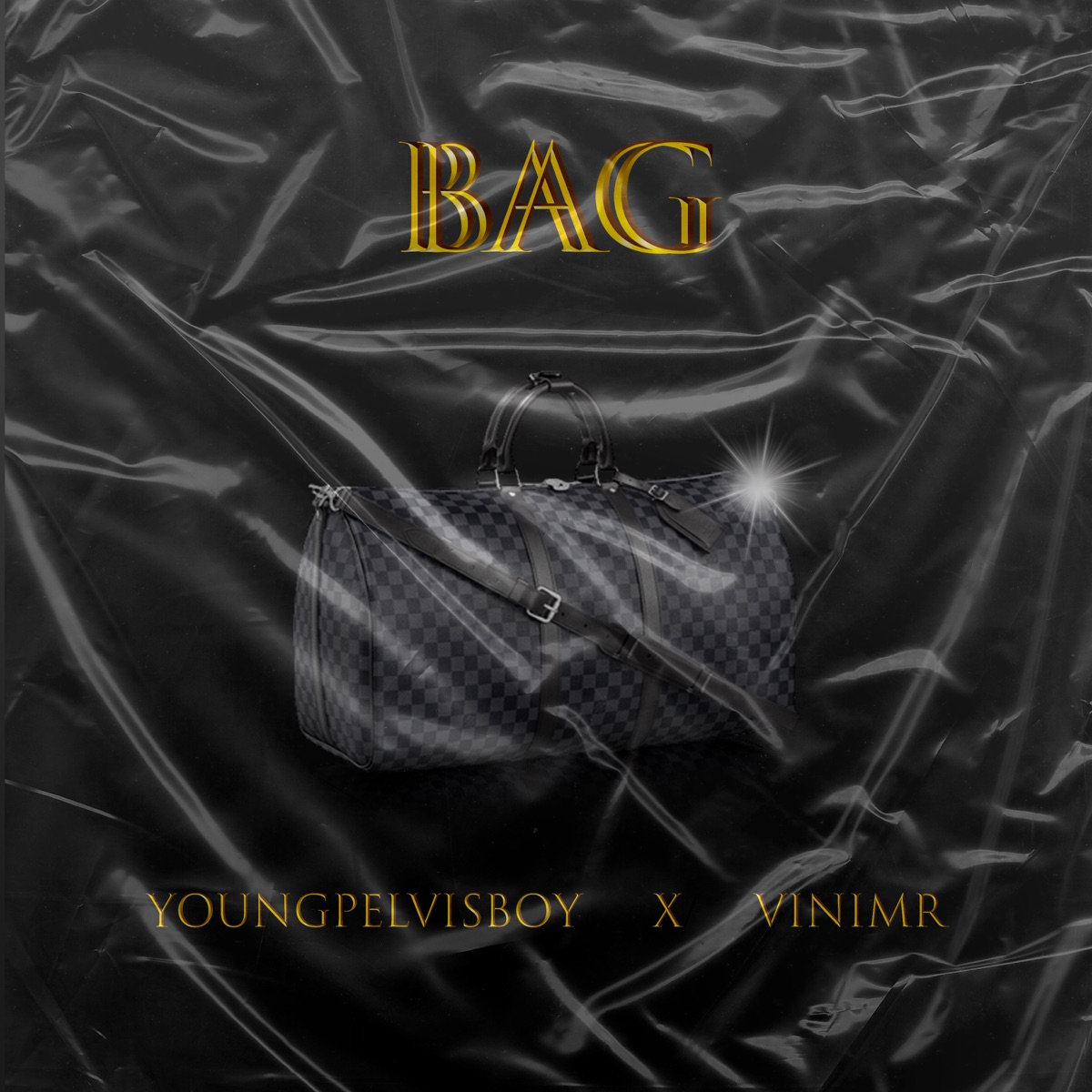 Bag - Single by YoungPelvisBoy & ViniMR album cover